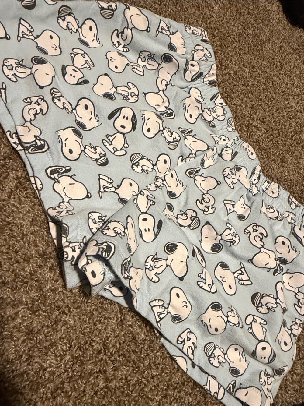 Peanuts Snoopy sweatshirt shorts (XL) - EUC!